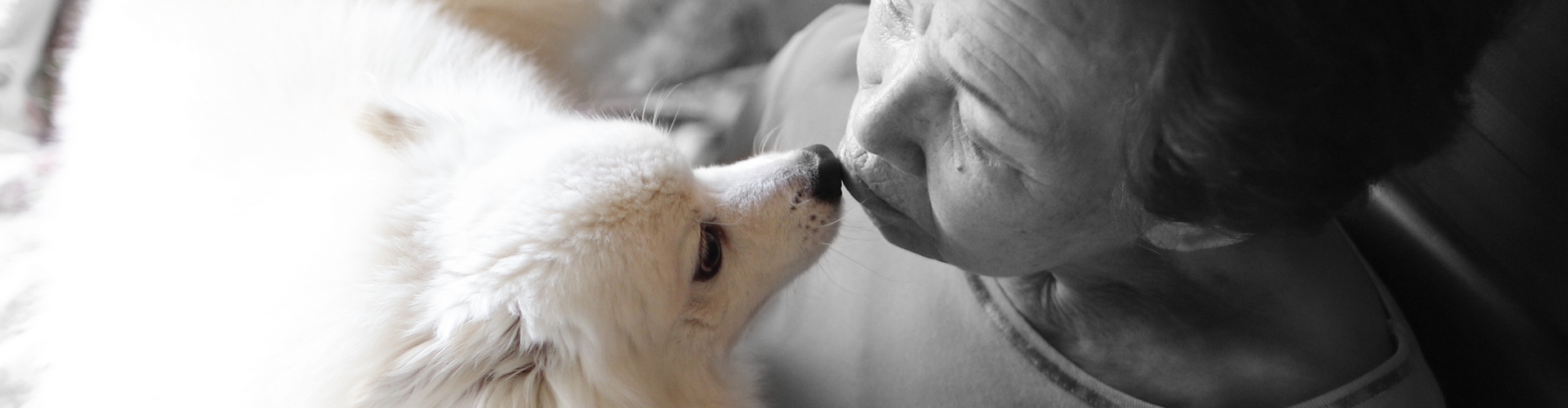 “家族”を救えるのは
あなただけです