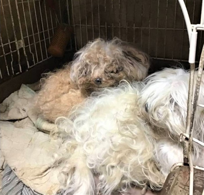 頼る身寄りが親類しかいない