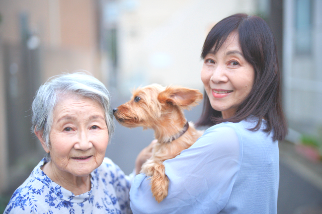 犬を馴れさせておく
