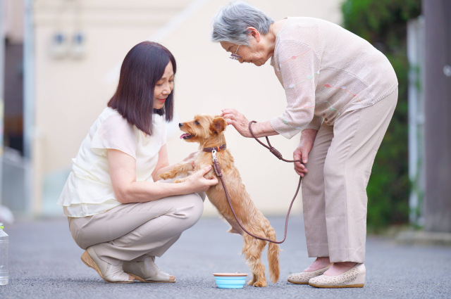 引き取り手を決めておく