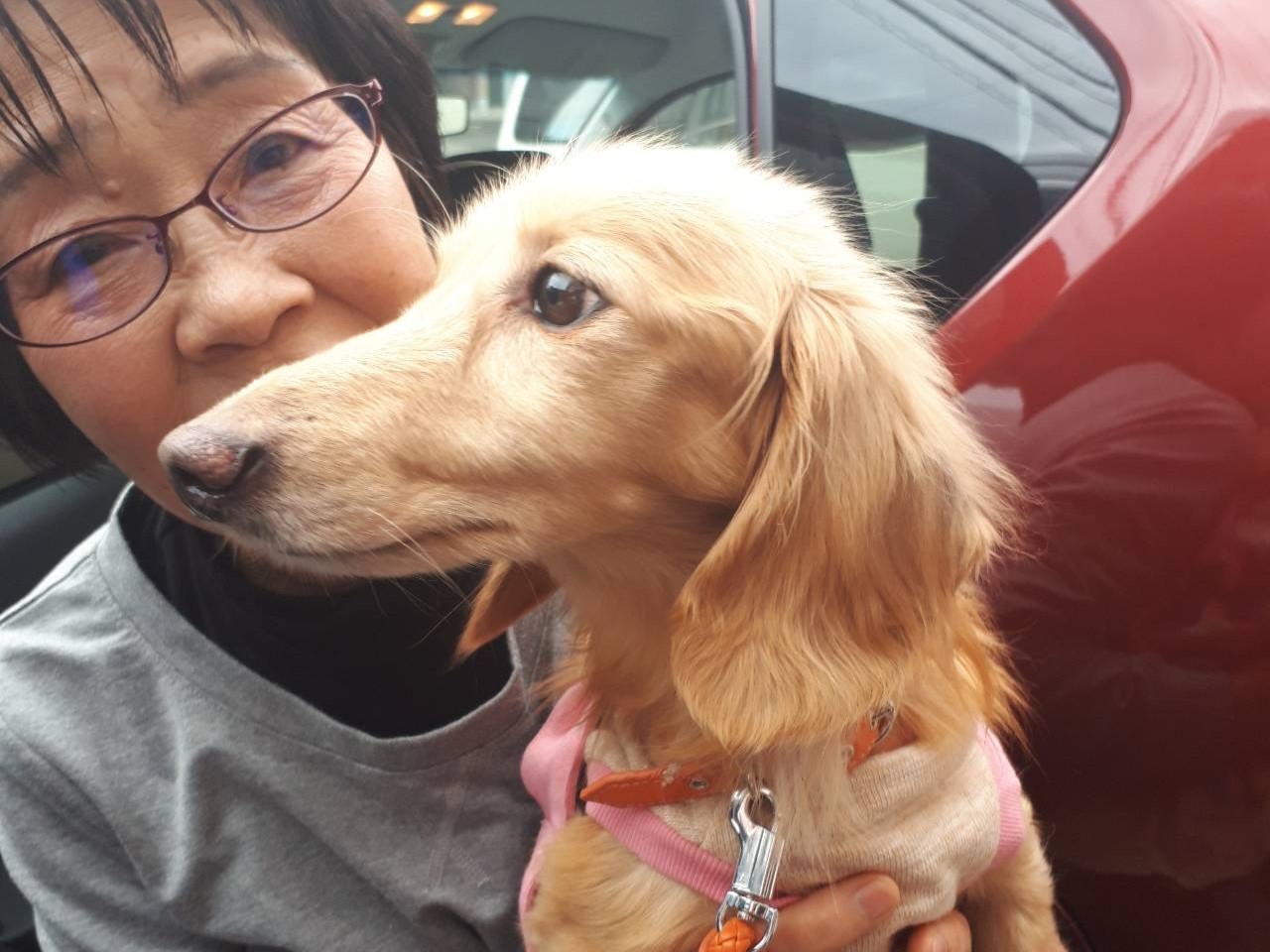 高齢者も元気になる