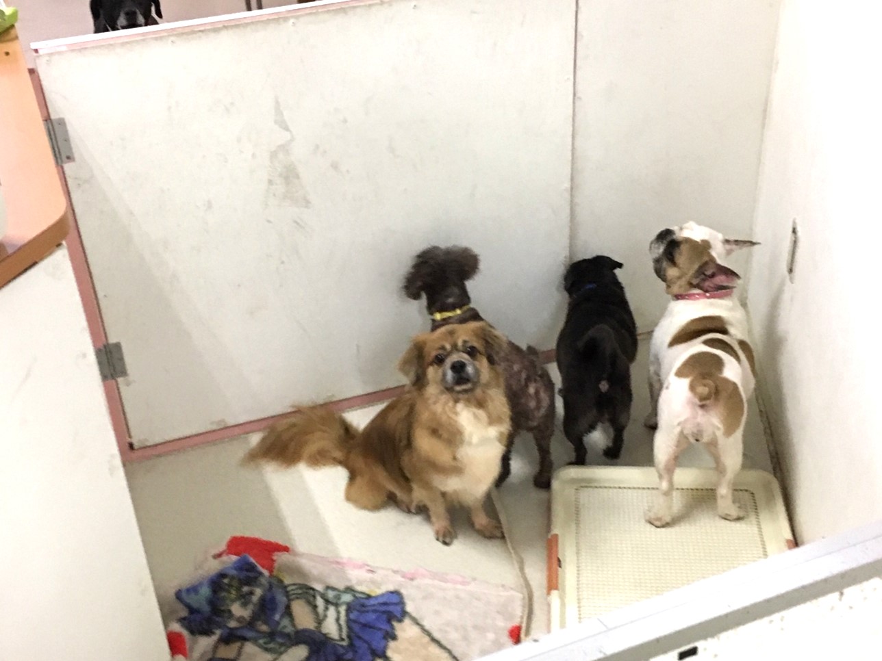 保護施設の負担が減る